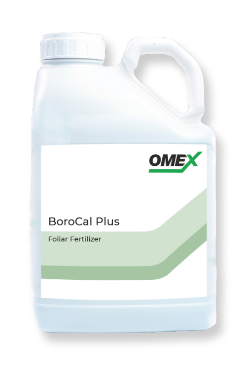 CELL POWER® BoroCal Plus