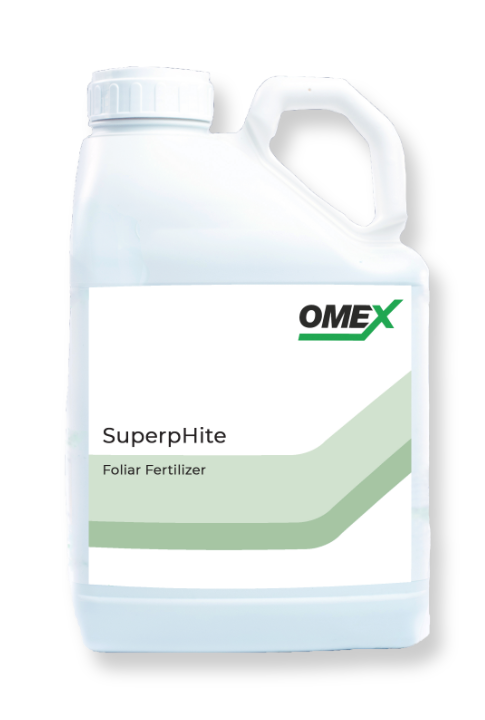 CELL POWER® SuperpHite